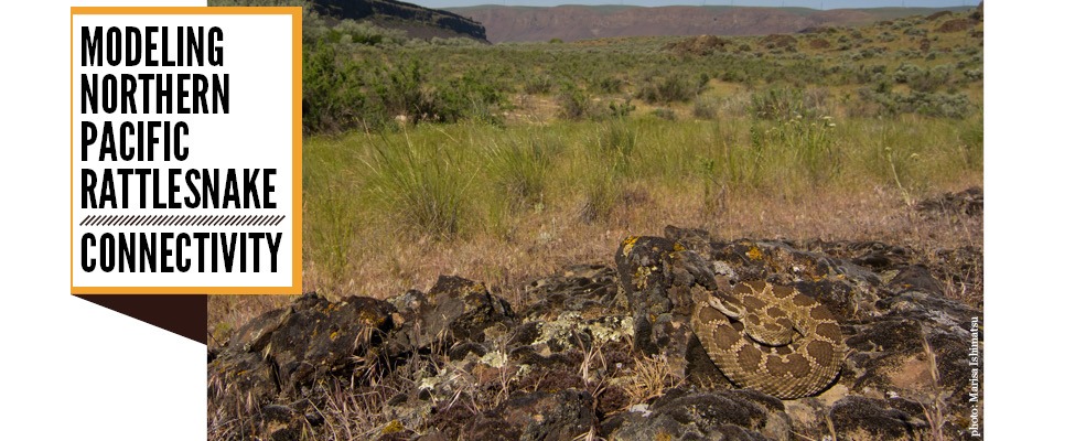 july_rattlesnake_banner.jpg