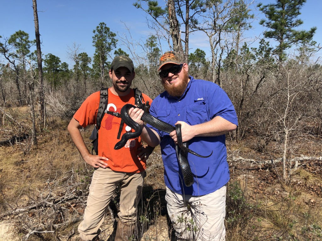 The author and Dr. Christian Cox from Georgia Southern University with a nearly 7 foot male indigo snake.