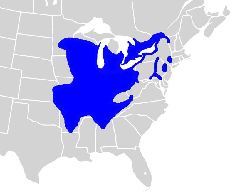 Range map of Northern Map Turtles.