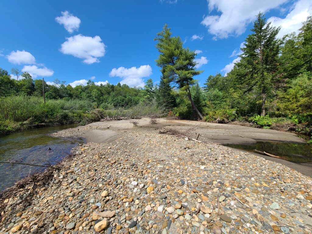 The stream pictured here had no obvious high quality nest sites for Wood Turtles prior to the extreme floods in July of 2023. Once floodwaters receded, however, several prominent sandbars were deposited along the streambanks that could be very attractive to nesting turtles. Photo by Kiley Briggs