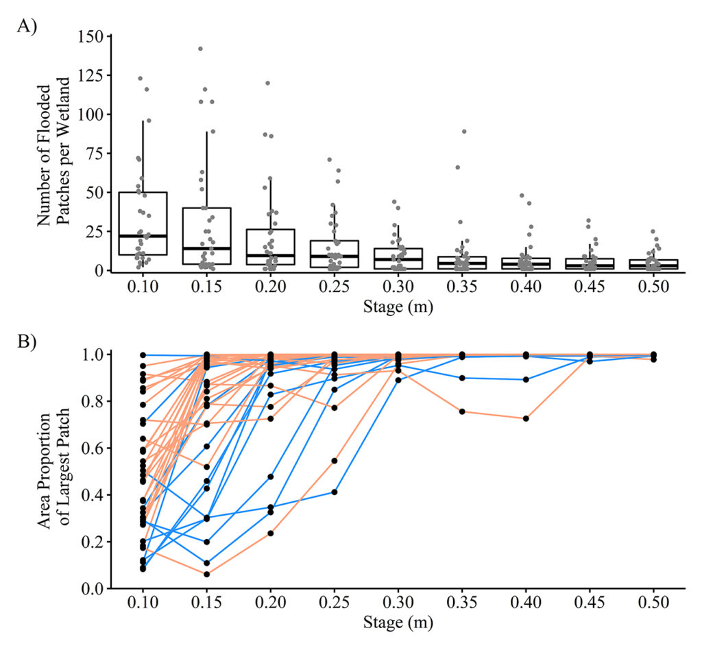 Relationships between flooded area (stage) and the number of discrete flooded patches in pine flatwoods wetlands. All patches considered were at least 1 square meter. The colors in the bottom plot represent total wetland size (< 2 hectares = blue, > 2 hectares = orange). – Houston Chandler