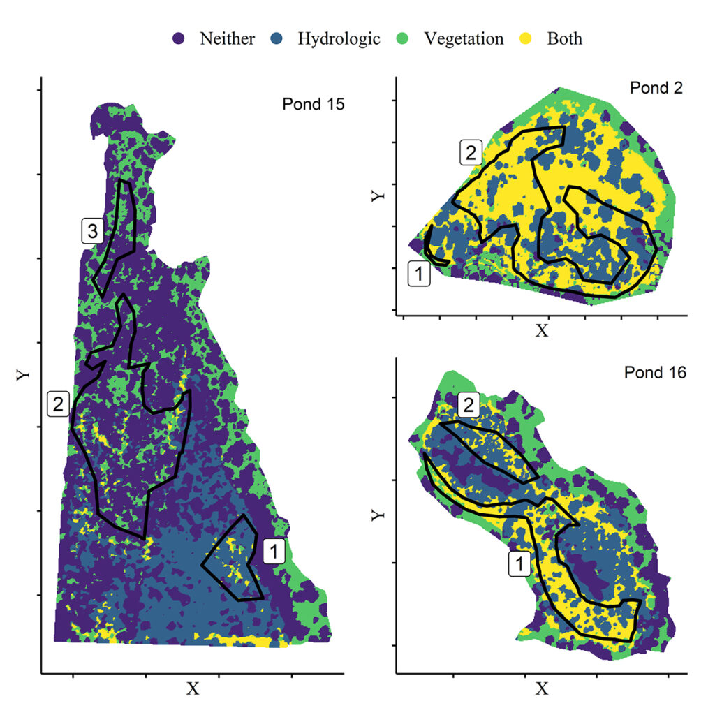 Maps demonstrating how LiDAR data can be used to map potential flatwoods salamander habitat, both from a hydrologic and vegetation perspective. Black polygons indicate areas that were delineated in the field as having high-quality vegetation for flatwoods salamanders. However, such areas do not necessarily overlap with parts of a wetland that are most likely to hold water. – Houston Chandler