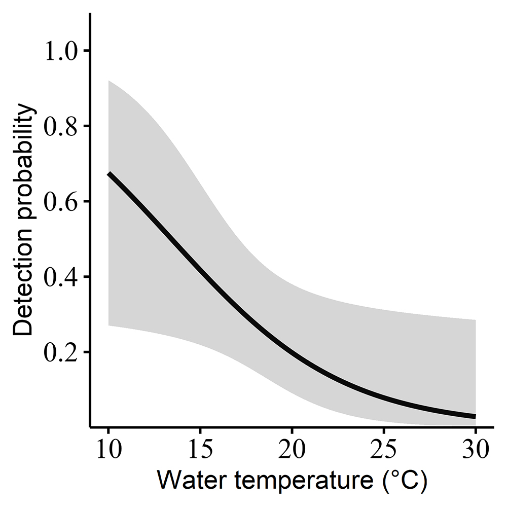A graph illustrating a higher detection probability of Spotted turtles at lower water temperatures in wetland sites across the Southeast. By Houston Chandler.