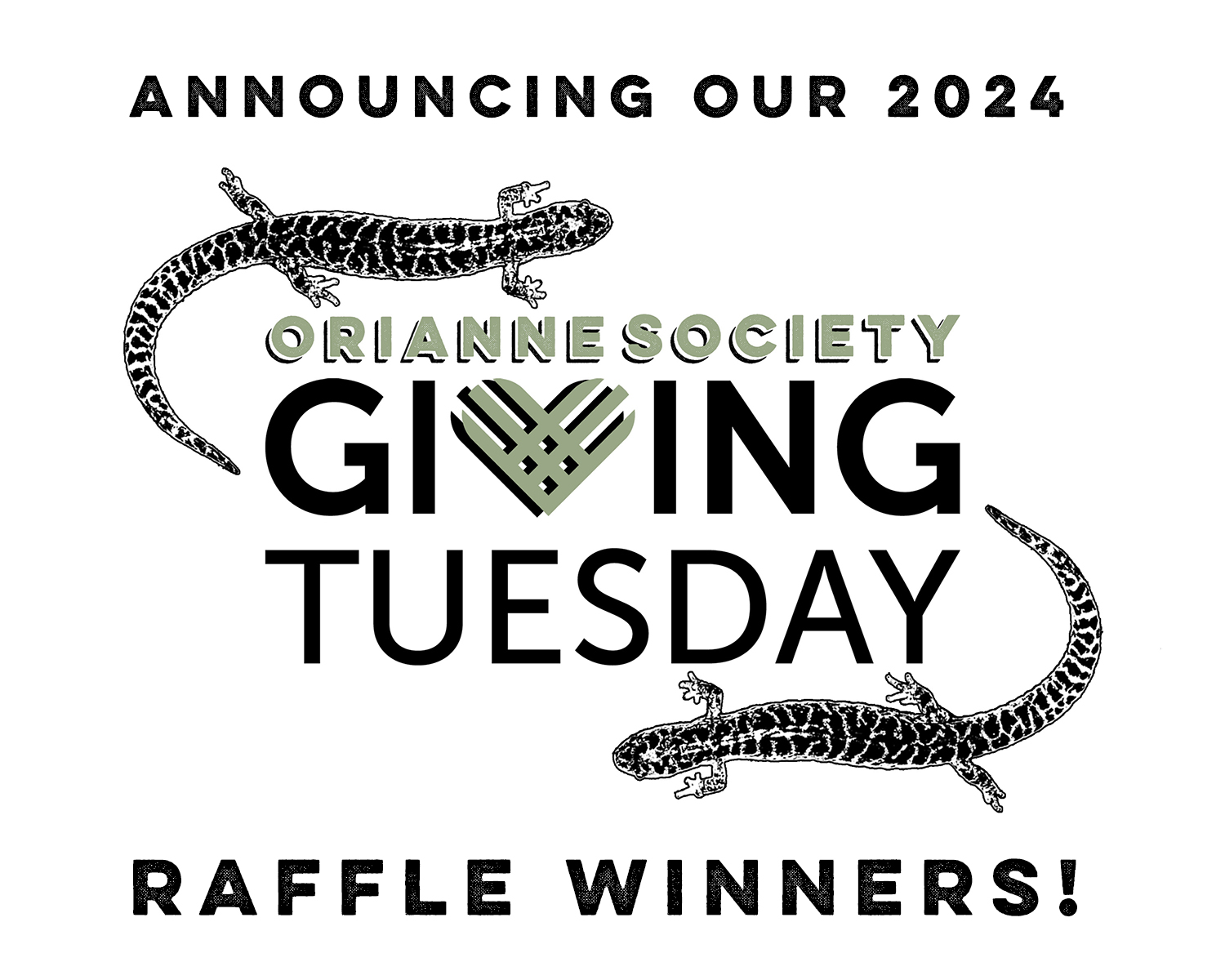 Tuesday Raffle 2024 GivingTuesday Raffle Winners - The Orianne Society