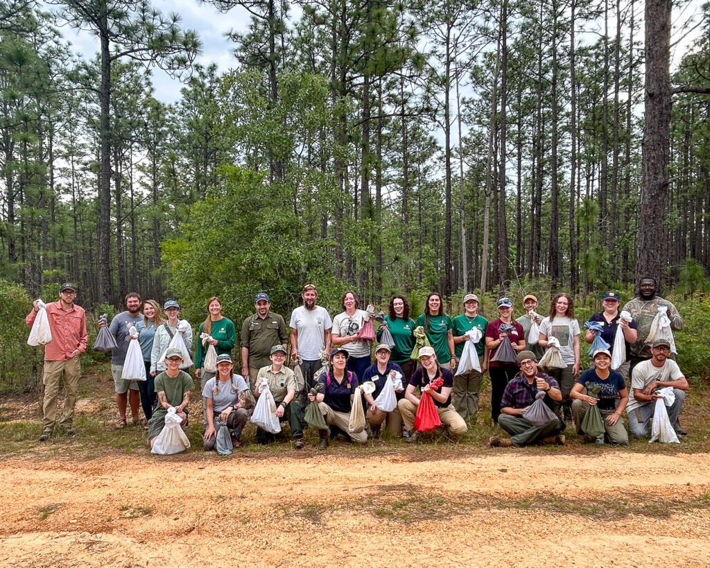 A group of people smiling for the camera and standing at the edge of a longleaf pine forest, holding cloth bags or pillowcases with indigo snakes inside.