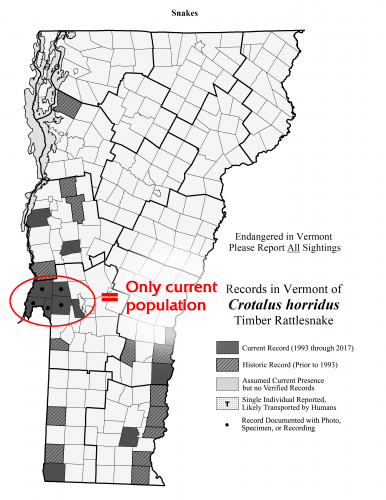 crotalus_horridus crotalus_horridus